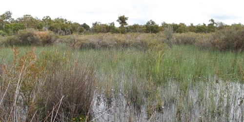 Drummond Nature Reserve. Photo - DBCA